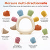 Infographie des différentes textures de mastication de l'anneau de dentition dinosaure - Bébé Lova
