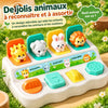Jouet pop-up blanc et ses animaux colorés posé sur l'herbe - CauseFX - Bébé Lova
