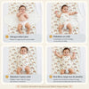 Infographie des 4 étapes pour emmailloter bébé avec le lange - Bébé Lova
