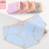 Lot 5 CottonPanties culottes coton bleu pastel maternité rotation semaine - Bébé Lova
