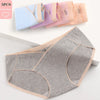 Lot 5 CottonPanties culottes coton gris maternité rotation semaine grossesse - Bébé Lova