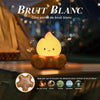 Veilleuse feu de camp avec sons apaisants et bruit blanc relaxant - Bébé Lova