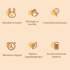 Six atouts de la veilleuse lapin RabbitLight tactile minuterie 3 intensités batterie longue durée - Bébé Lova
